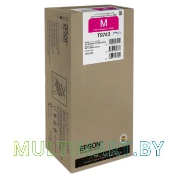 Чернила Epson C13T974300